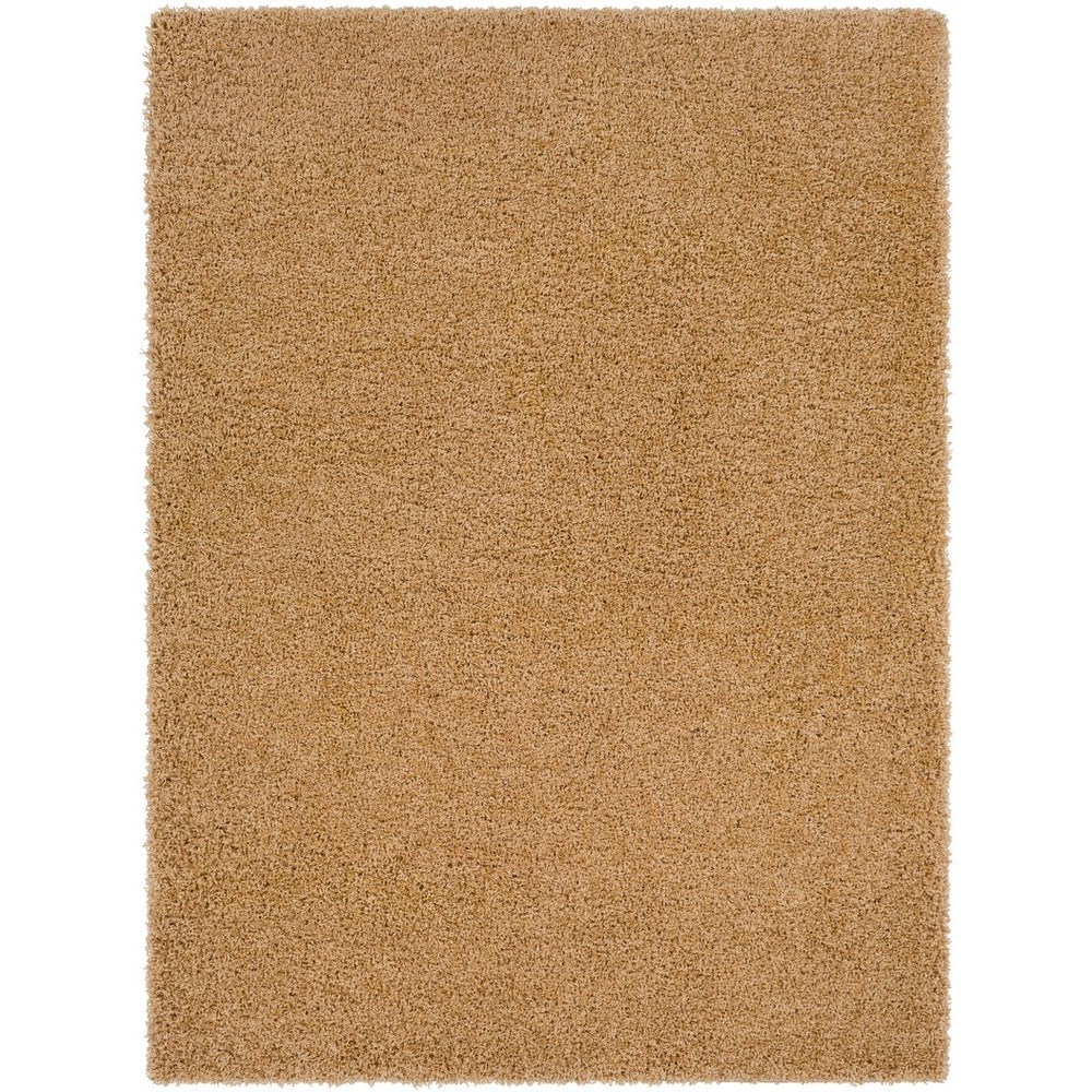 Collection Thumbnail